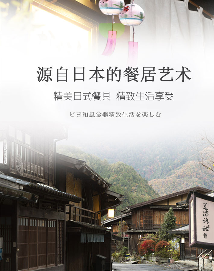 日本 Mino Yak i美浓烧 古染京唐草 8.3英寸大盘