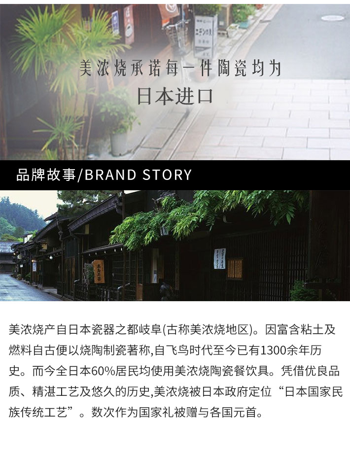日本 Mino Yak i美浓烧 古染京唐草 8.3英寸大盘