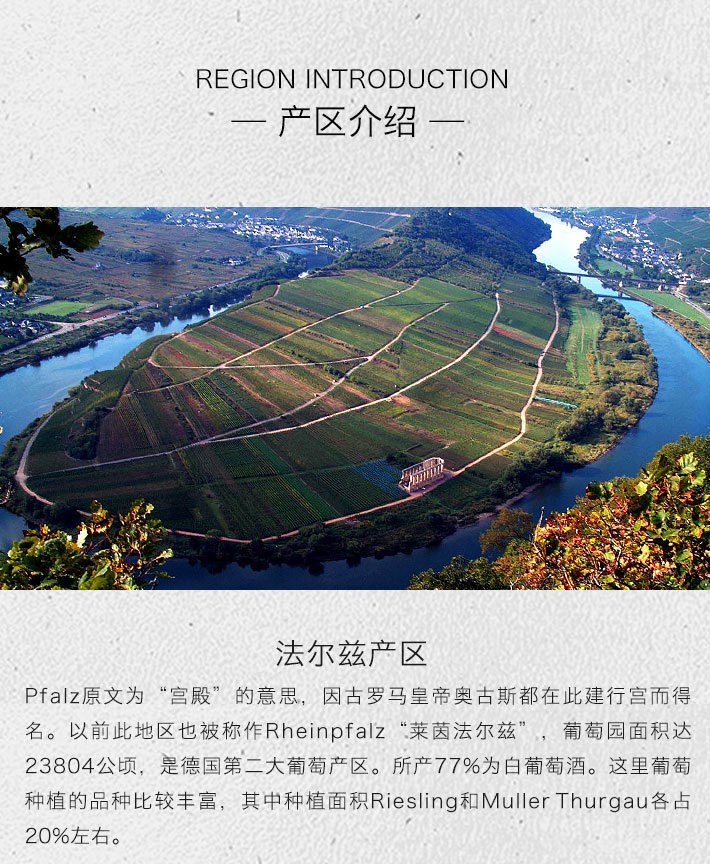 德国酒门 50周年庆典 丹菲特干红葡萄酒 750ml